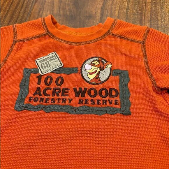Disney Winnie the Pooh Tigger orange long sleeve tee shirt - Picture 2 of 4